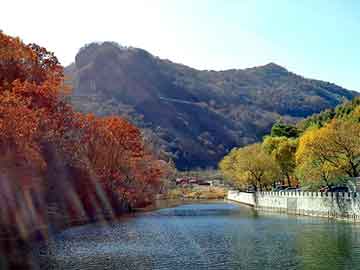 奥门天天开奖免费资料，玉米基地